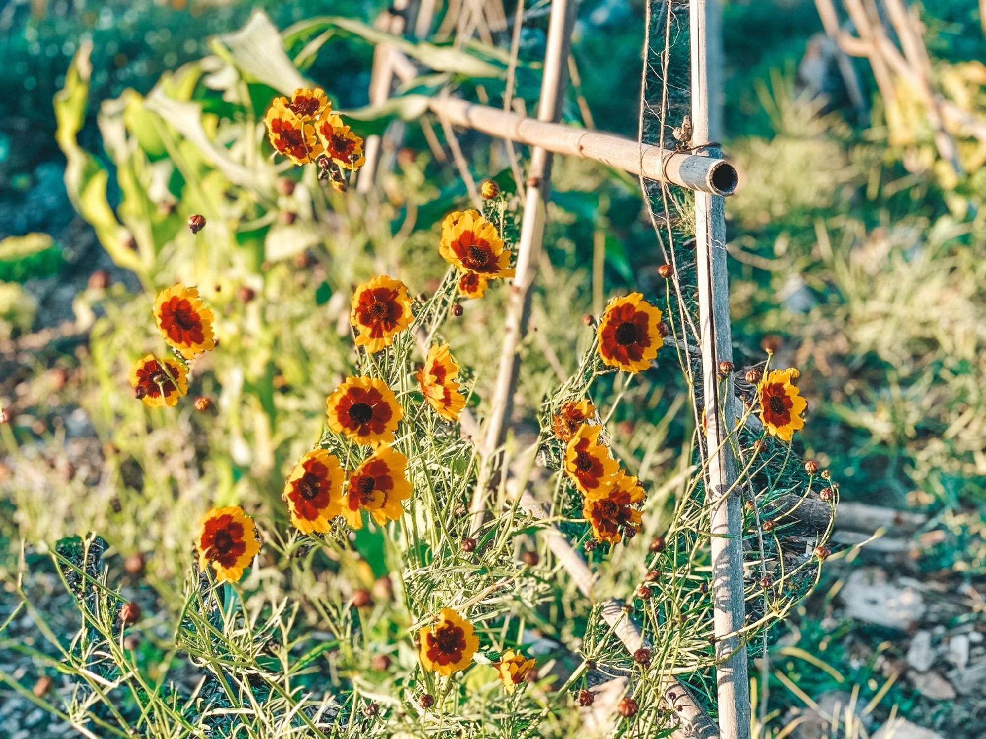 Stay At Pachamama Community Alcácer do Sal Δωμάτιο φωτογραφία
